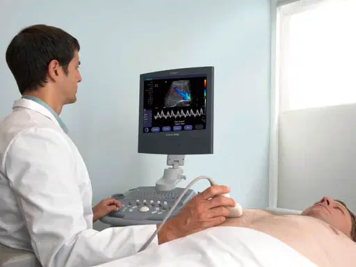 2D Echo Image